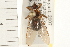  ( - HF053)  @14 [ ] CreativeCommons - Attribution (2008) Unspecified Centre for Biodiversity Genomics