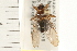  ( - HF054)  @14 [ ] CreativeCommons - Attribution (2008) Unspecified Centre for Biodiversity Genomics