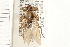  ( - HF103)  @14 [ ] CreativeCommons - Attribution (2008) Unspecified Centre for Biodiversity Genomics