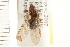  ( - HF104)  @14 [ ] CreativeCommons - Attribution (2008) Unspecified Centre for Biodiversity Genomics