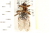  ( - HF111)  @14 [ ] CreativeCommons - Attribution (2008) Unspecified Centre for Biodiversity Genomics