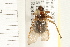  ( - HF164)  @14 [ ] CreativeCommons - Attribution (2008) Unspecified Centre for Biodiversity Genomics