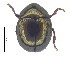  ( - C8179)  @14 [ ] CreativeCommons  Attribution Non-Commercial Share-Alike (2017) Unspecified Institute for Tropical Biology and Conservation, Universiti Malaysia Sabah