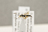  ( - BC-ZSM-HYM-22281-E10)  @13 [ ] CreativeCommons - Attribution Non-Commercial Share-Alike (2016) SNSB, Staatliche Naturwissenschaftliche Sammlungen Bayerns ZSM (SNSB, Zoologische Staatssammlung Muenchen)