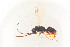  ( - BC-ZSM-HYM-22527-E04)  @13 [ ] CreativeCommons - Attribution Non-Commercial Share-Alike (2014) Stefan Schmidt SNSB, Zoologische Staatssammlung Muenchen
