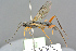  ( - BC-ZSM-HYM-27569-H01)  @14 [ ] CreativeCommons - Attribution Non-Commercial Share-Alike (2016) SNSB, Staatliche Naturwissenschaftliche Sammlungen Bayerns ZSM (SNSB, Zoologische Staatssammlung Muenchen)