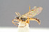  ( - BC-ZSM-HYM-29762-G04)  @12 [ ] CreativeCommons - Attribution Non-Commercial Share-Alike (2017) SNSB, Staatliche Naturwissenschaftliche Sammlungen Bayerns ZSM (SNSB, Zoologische Staatssammlung Muenchen)