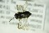  ( - BC ZSM HYM 20153)  @12 [ ] Unspecified (default): All Rights Reserved  Unspecified Unspecified