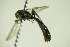 ( - BC ZSM HYM 21055)  @12 [ ] Unspecified (default): All Rights Reserved  Unspecified Unspecified