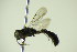  ( - BC ZSM HYM 21058)  @12 [ ] Unspecified (default): All Rights Reserved  Unspecified Unspecified