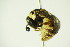  ( - BC ZSM HYM 21060)  @12 [ ] Unspecified (default): All Rights Reserved  Unspecified Unspecified