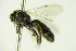  ( - BC ZSM HYM 21064)  @12 [ ] Unspecified (default): All Rights Reserved  Unspecified Unspecified