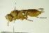  ( - BC ZSM HYM 21074)  @12 [ ] Unspecified (default): All Rights Reserved  Unspecified Unspecified