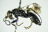  ( - BC ZSM HYM 21087)  @12 [ ] Unspecified (default): All Rights Reserved  Unspecified Unspecified