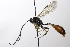  ( - CollHH3528)  @11 [ ] Creative Commons  Attribution Non-Commercial Share-Alike (2022) Hakon Haraldseide Unspecified