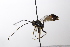  ( - CollHH3529)  @11 [ ] Creative Commons  Attribution Non-Commercial Share-Alike (2022) Hakon Haraldseide Unspecified