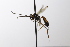  ( - CollHH3545)  @11 [ ] Creative Commons  Attribution Non-Commercial Share-Alike (2022) Hakon Haraldseide Unspecified