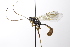  ( - CollHH3564)  @11 [ ] Creative Commons  Attribution Non-Commercial Share-Alike (2022) Hakon Haraldseide Unspecified