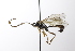  ( - CollHH3565)  @11 [ ] Creative Commons  Attribution Non-Commercial Share-Alike (2022) Hakon Haraldseide Unspecified