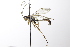  ( - CollHH3567)  @11 [ ] Creative Commons  Attribution Non-Commercial Share-Alike (2022) Hakon Haraldseide Unspecified