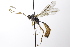 ( - CollHH3569)  @11 [ ] Creative Commons  Attribution Non-Commercial Share-Alike (2022) Hakon Haraldseide Unspecified
