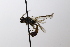  ( - CollHH3584)  @11 [ ] Creative Commons  Attribution Non-Commercial Share-Alike (2022) Hakon Haraldseide Unspecified