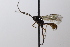  ( - CollHH3585)  @11 [ ] Creative Commons  Attribution Non-Commercial Share-Alike (2022) Hakon Haraldseide Unspecified