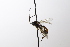  ( - CollHH3589)  @11 [ ] Creative Commons  Attribution Non-Commercial Share-Alike (2022) Hakon Haraldseide Unspecified