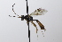  ( - CollHH3621)  @11 [ ] Creative Commons  Attribution Non-Commercial Share-Alike (2022) Hakon Haraldseide Unspecified