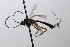  ( - CollHH3638)  @11 [ ] Creative Commons  Attribution Non-Commercial Share-Alike (2022) Hakon Haraldseide Unspecified