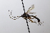  ( - CollHH3652)  @11 [ ] Creative Commons  Attribution Non-Commercial Share-Alike (2022) Hakon Haraldseide Unspecified