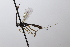  ( - CollHH3653)  @11 [ ] Creative Commons  Attribution Non-Commercial Share-Alike (2022) Hakon Haraldseide Unspecified