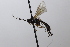  ( - CollHH3655)  @11 [ ] Creative Commons  Attribution Non-Commercial Share-Alike (2022) Hakon Haraldseide Unspecified