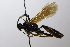  ( - CollHH3685)  @11 [ ] Creative Commons  Attribution Non-Commercial Share-Alike (2022) Hakon Haraldseide Unspecified