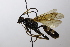  ( - CollHH3686)  @11 [ ] Creative Commons  Attribution Non-Commercial Share-Alike (2022) Hakon Haraldseide Unspecified