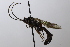  ( - CollHH3691)  @11 [ ] Creative Commons  Attribution Non-Commercial Share-Alike (2022) Hakon Haraldseide Unspecified