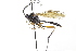  ( - CollHH3712)  @11 [ ] Creative Commons  Attribution Non-Commercial Share-Alike (2023) Hakon Haraldseide Unspecified