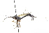  ( - CollHH3721)  @11 [ ] Creative Commons  Attribution Non-Commercial Share-Alike (2023) Hakon Haraldseide Unspecified