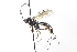 ( - CollHH3722)  @11 [ ] Creative Commons  Attribution Non-Commercial Share-Alike (2023) Hakon Haraldseide Unspecified