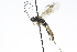  ( - CollHH3779)  @11 [ ] Creative Commons  Attribution Non-Commercial Share-Alike (2023) Hakon Haraldseide Unspecified