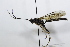  ( - CollHH3803)  @11 [ ] Creative Commons  Attribution Non-Commercial Share-Alike (2023) Hakon Haraldseide Unspecified