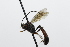  ( - CollHH3847)  @11 [ ] Creative Commons  Attribution Non-Commercial Share-Alike (2023) Hakon Haraldseide Unspecified