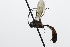  ( - CollHH3848)  @11 [ ] Creative Commons  Attribution Non-Commercial Share-Alike (2023) Hakon Haraldseide Unspecified