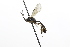  ( - CollHH3876)  @11 [ ] Creative Commons  Attribution Non-Commercial Share-Alike (2023) Hakon Haraldseide Unspecified