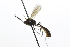  ( - CollHH3878)  @11 [ ] Creative Commons  Attribution Non-Commercial Share-Alike (2023) Hakon Haraldseide Unspecified