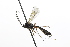  ( - CollHH3880)  @11 [ ] Creative Commons  Attribution Non-Commercial Share-Alike (2023) Hakon Haraldseide Unspecified