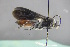  ( - GBOL18745)  @11 [ ] CreativeCommons - Attribution Non-Commercial Share-Alike (2015) Unspecified SNSB, Zoologische Staatssammlung Muenchen