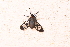  ( - YB-BCI187497)  @11 [ ] No Rights Reserved  Unspecified Unspecified