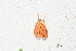  ( - YB-BCI187887)  @11 [ ] No Rights Reserved  Unspecified Unspecified