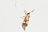  ( - YB-BCI188027)  @11 [ ] No Rights Reserved  Unspecified Unspecified